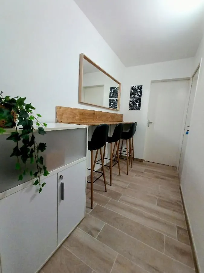 Private Room In Renovated Apartment - Tram 1 Min Walk Nice 0*,  France